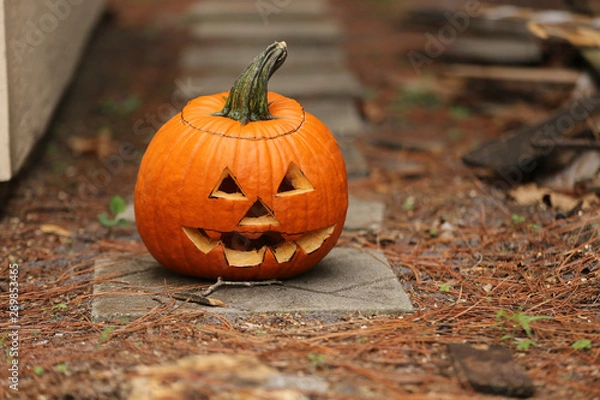 Obraz halloween jack o' lantern outside on a path