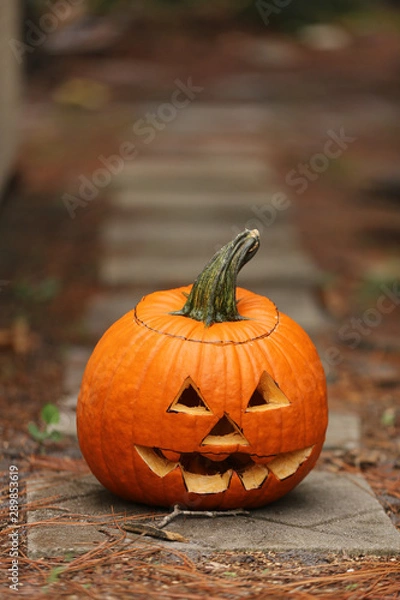 Obraz halloween jack o' lantern outside on a path