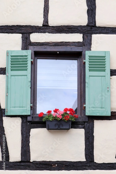 Obraz Une fenêtre alsacienne