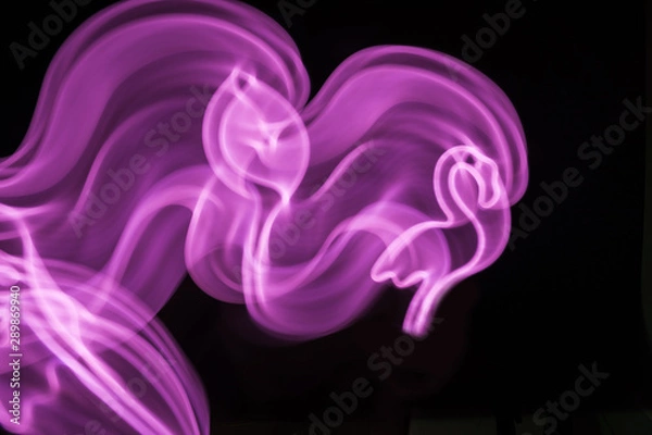 Fototapeta Neon pink flamingo LED lamp in motion as blurred abstract background on black.