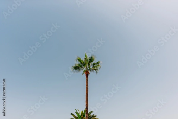 Fototapeta Postcard from Tenerife