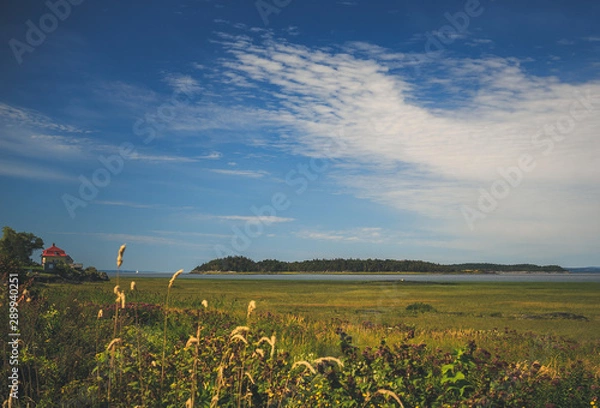 Obraz Les blés au ciel