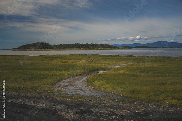Obraz le chemin vers l'eau