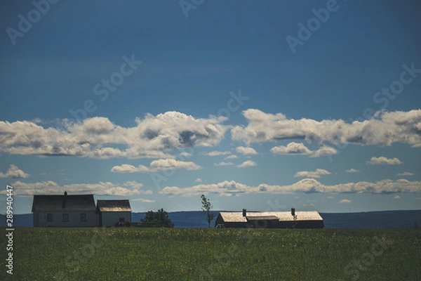 Obraz la ferm ensoleillée