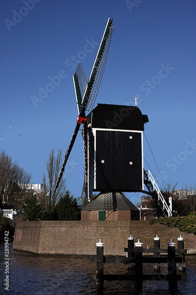 Obraz Windmill Leiden