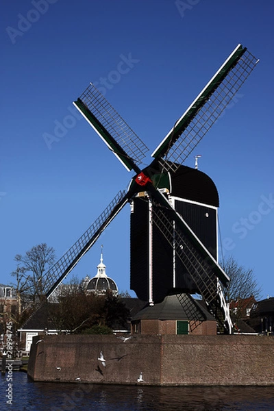 Obraz Black and White Windmill