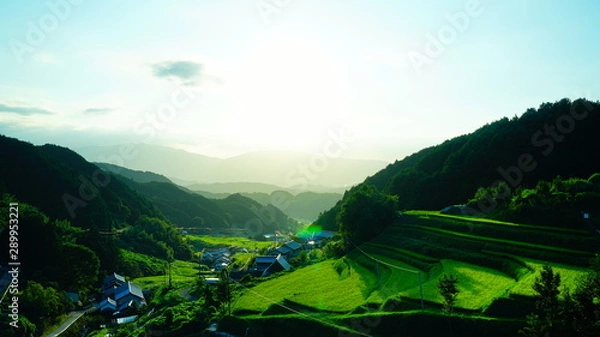 Obraz 奈良県明日香村　稲渕の棚田