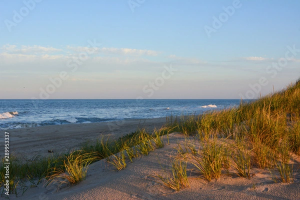 Fototapeta Światło późnego wieczoru nad wydmami na plaży w Pea Island National Wildlife Refuge
