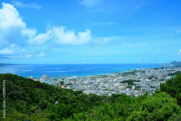 Fototapeta 高台から見下ろす風景