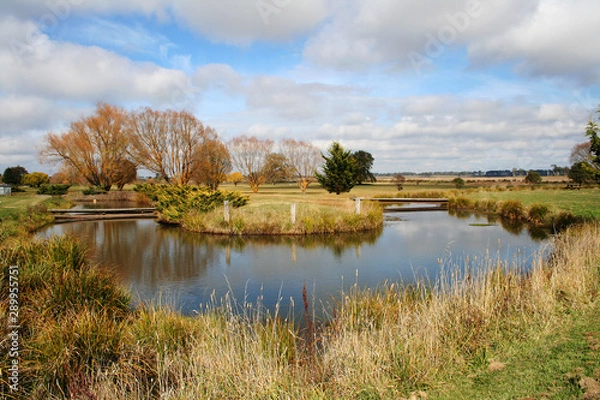 Fototapeta A bend in the duckpond at Guyra. Australia.
