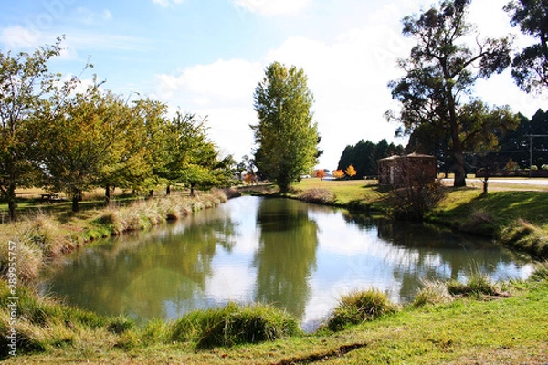 Fototapeta The duckpond in Guyra. Australia.