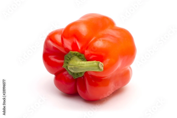 Obraz red sweet pepper on white background