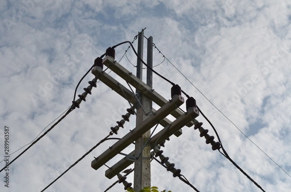 Obraz Electricity Post in my Garden 