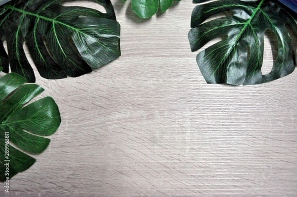 Fototapeta The natural background image has beautiful beech wood and green leaves.