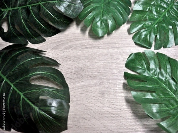 Fototapeta The natural background image has beautiful beech wood and green leaves.