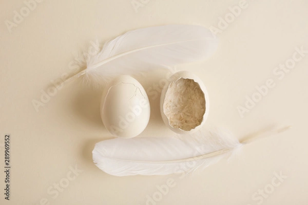 Fototapeta Egg newborn Background