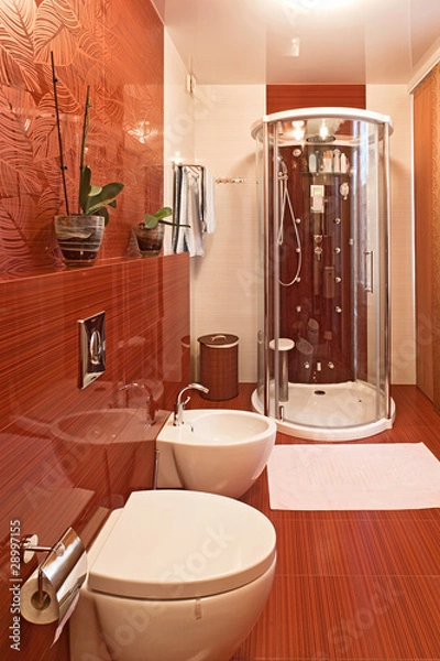 Obraz Modern shower cabin and bidet