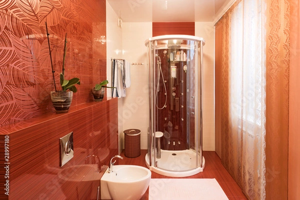 Obraz Modern shower cabin and bidet