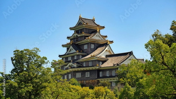 Fototapeta 岡山城５