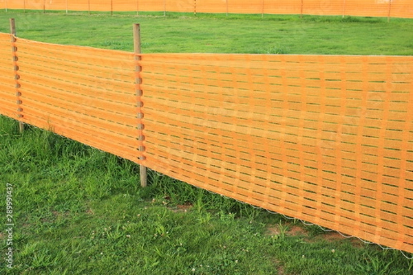 Fototapeta fence and grass