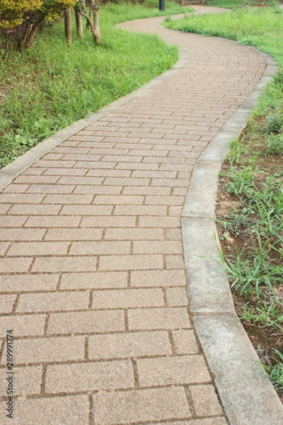 Fototapeta path in park