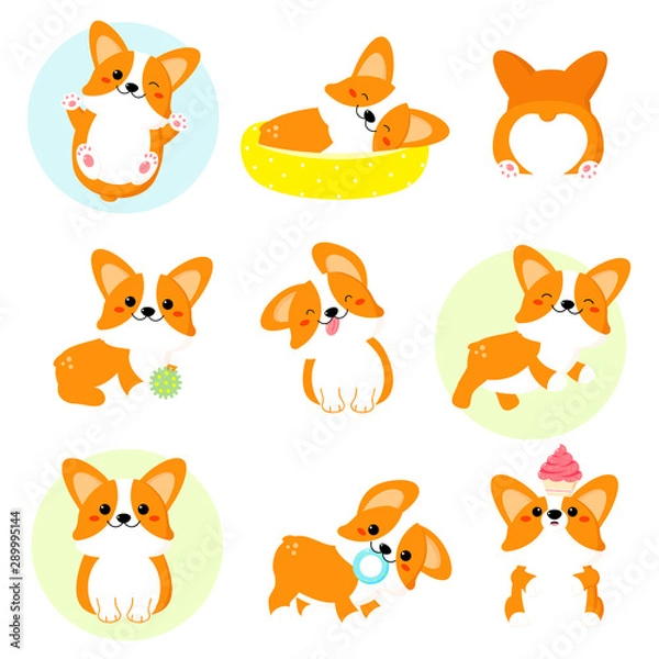 Fototapeta Set of cute corgi