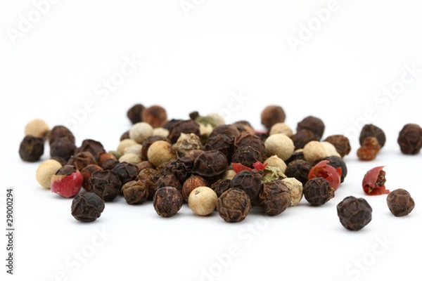 Obraz Pfeffer mehrfarbig