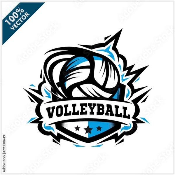 Obraz Volleyball swoosh badge logo vector