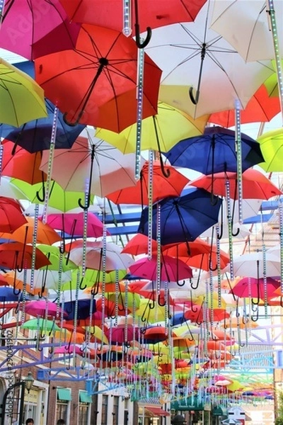 Fototapeta アンブレラスカイ