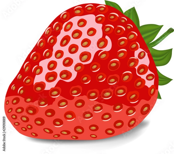 Fototapeta strawberry  vector illustration