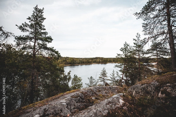 Obraz Sweden wilderness