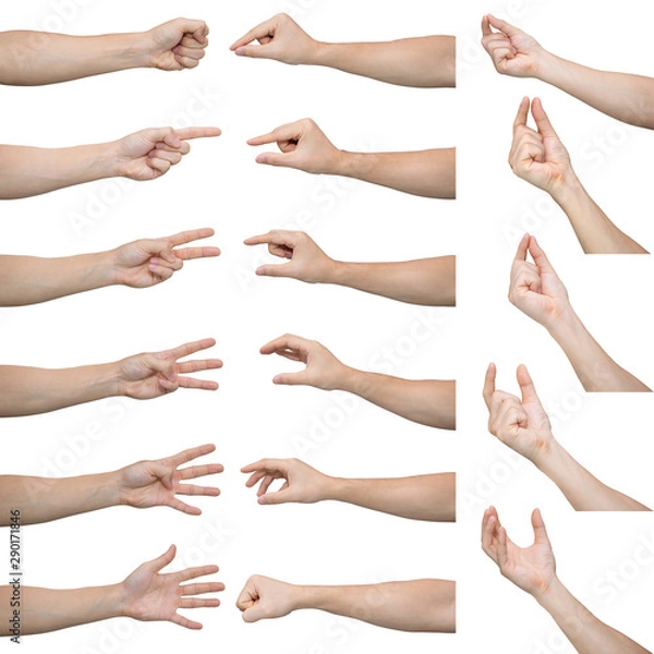 Fototapeta Set of men make various hand gestures isolated on white background.
