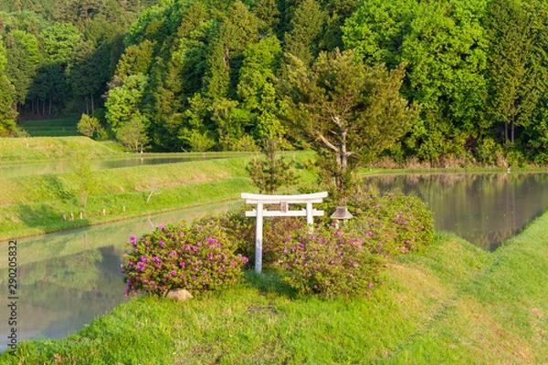 Fototapeta 農村部で祀られている場所
