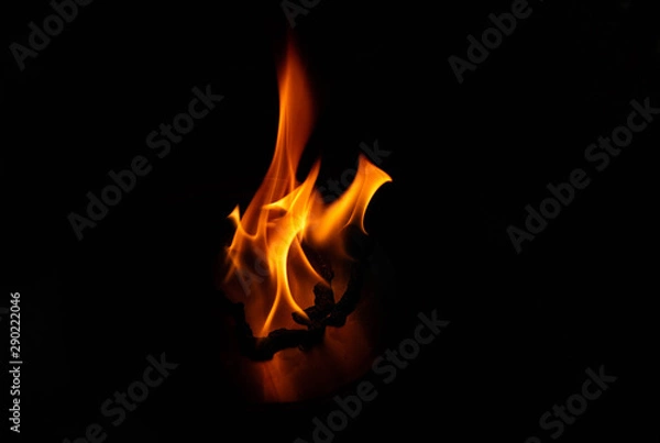 Fototapeta Tame Fire