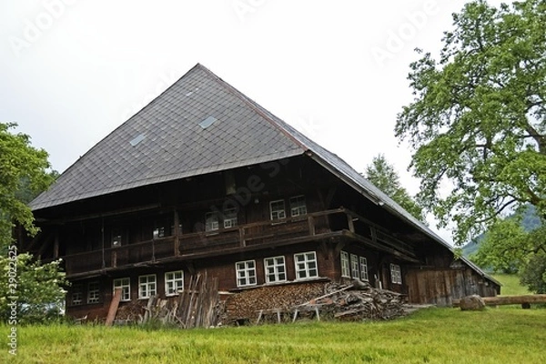 Obraz Schwarzwaldhaus_01