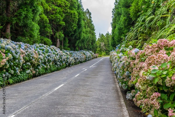 Fototapeta Typical landscape of the Seven Cities, Azores