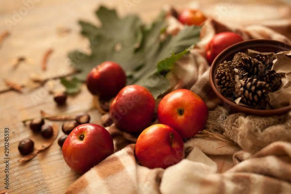 Fototapeta autumn composition of apples red maple leaves green plaid wooden table bumps on a clay plate locking warm light