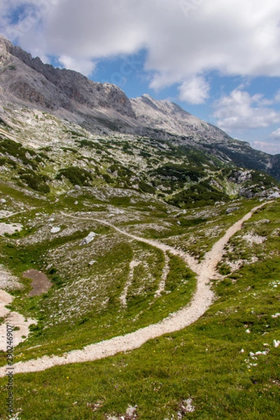 Obraz Mountain trail split in two paths, below Triglav