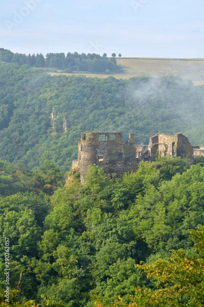 Fototapeta Burgruine Schmidtburg