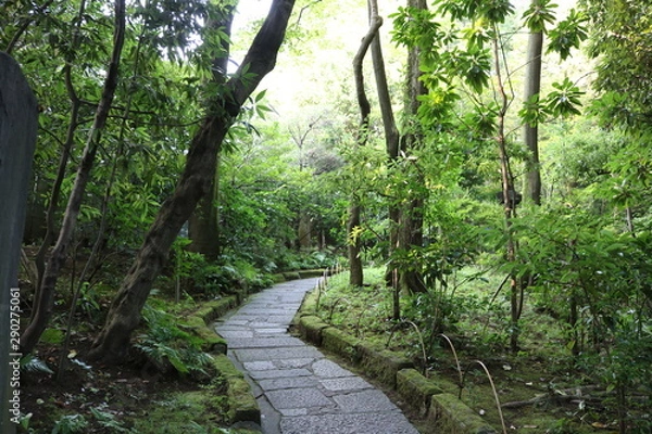 Obraz 根津美術館　緑の庭園