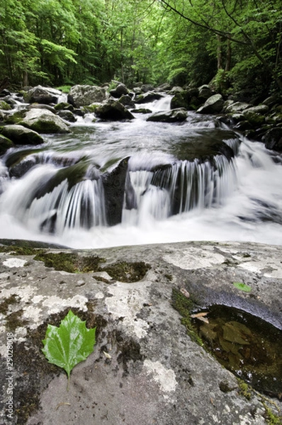 Obraz Smoky Mountains Waterfall