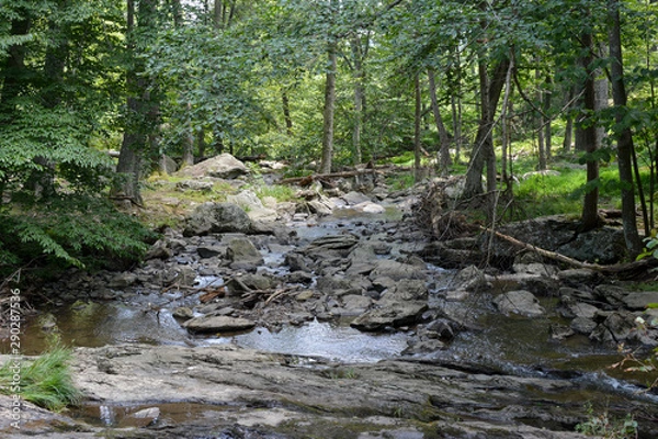 Fototapeta Mountain trout stream in a secluded wooded area