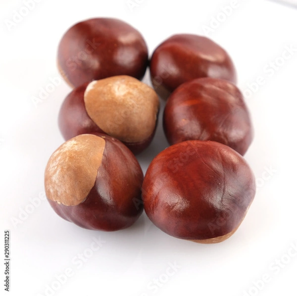 Obraz chestnuts on a white background