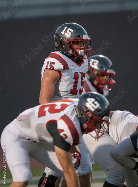 Obraz Great action photos of football players making amazing plays during a football game