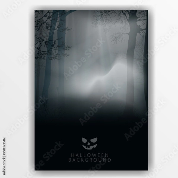 Fototapeta The dark forest and the fog