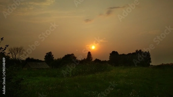 Obraz sunset over field