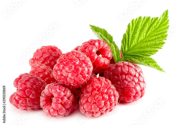 Fototapeta raspberries with mint leaf closeup