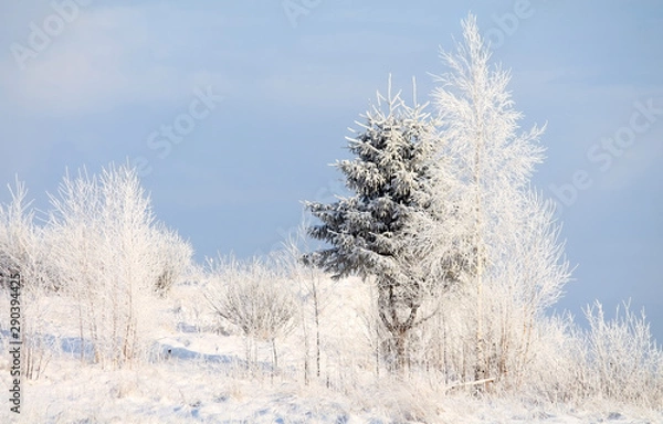 Obraz winter landscape with river and trees