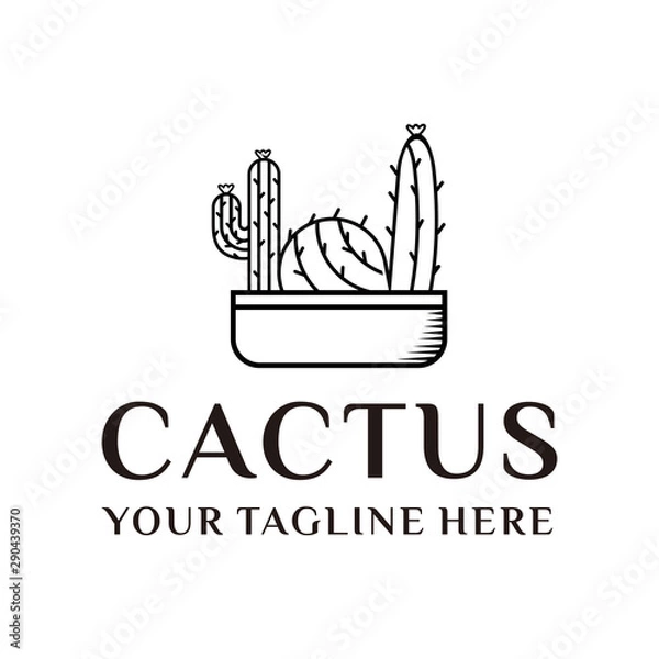 Fototapeta cactus logo vector graphic line