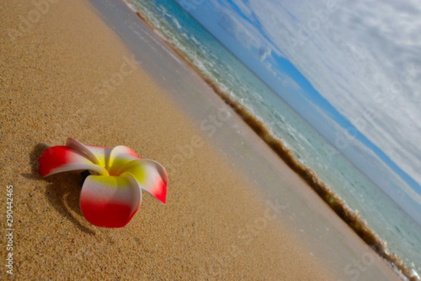 Obraz エメラルドブルー